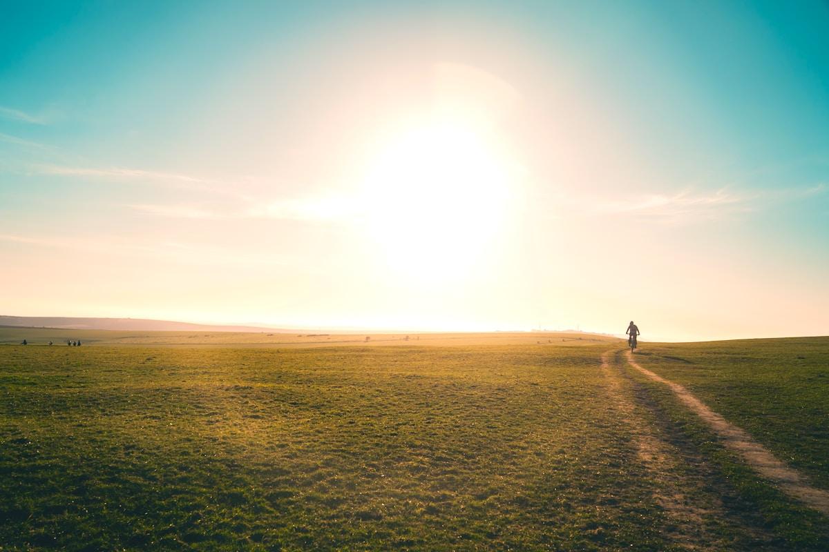 Should You Pay Off Debt or Invest First? The 2026 Math That Ends the Debate